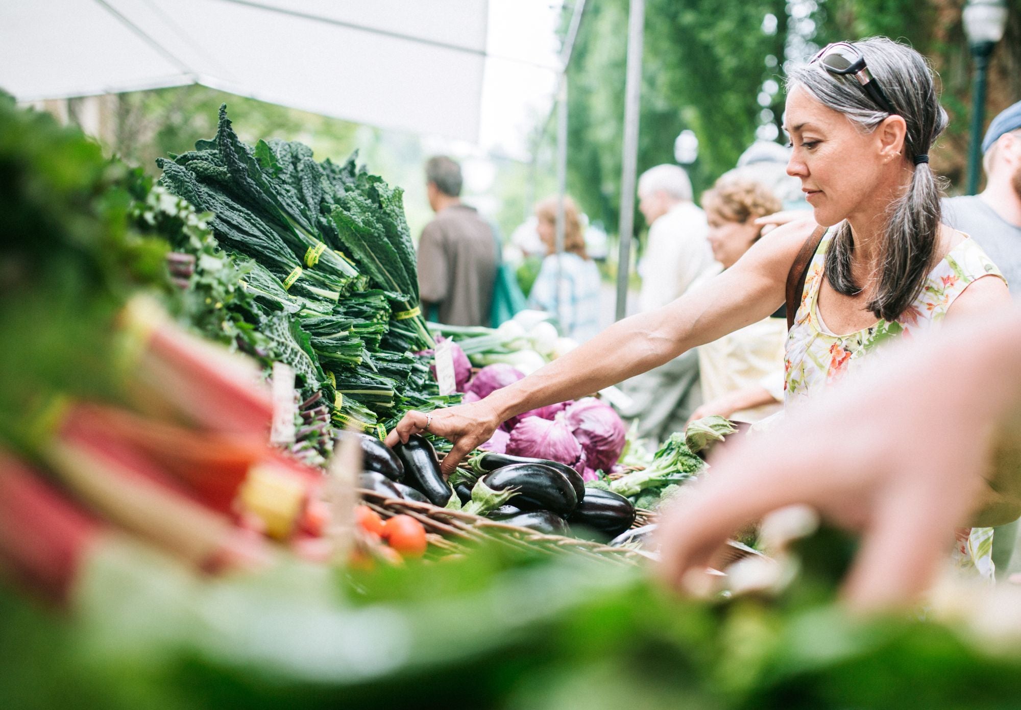 Farm to Table Feasts: Embracing Local and Sustainable Eating in the Summer
