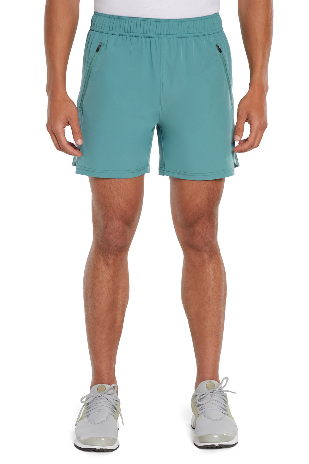 #color_sagebrush-green