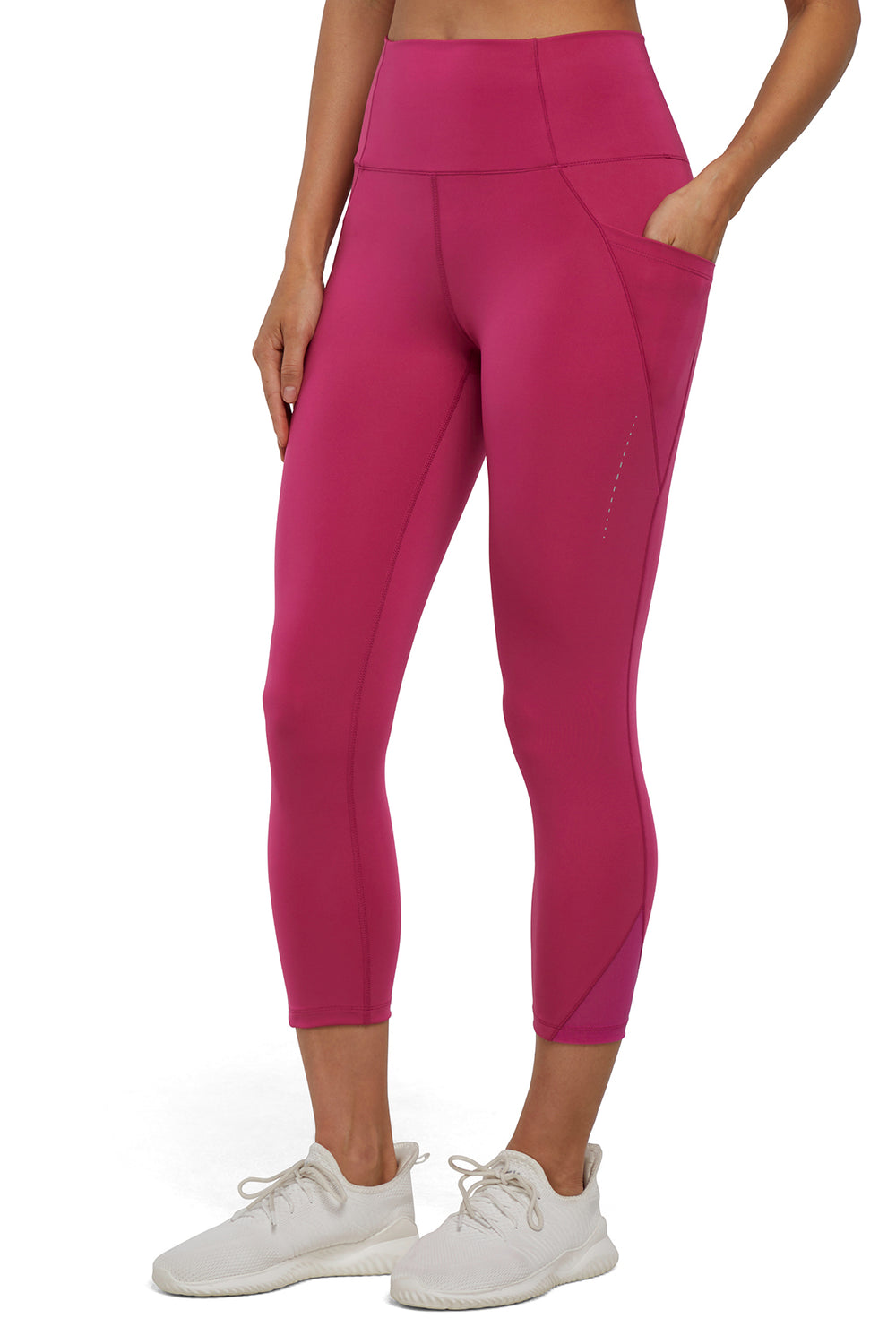 #color_cactus-flower