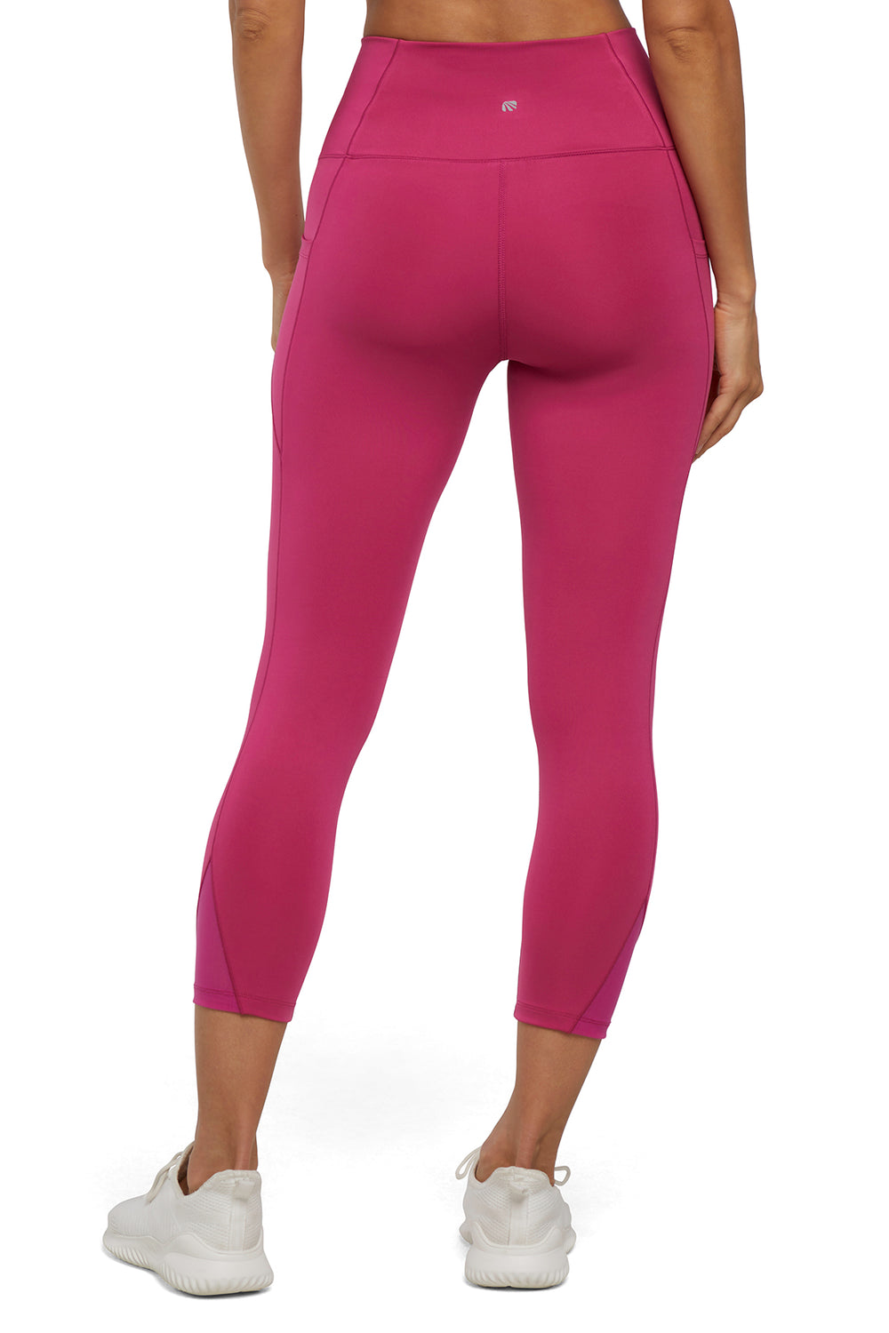 #color_cactus-flower